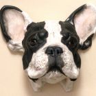 french-bulldog_0