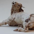 Clare Pavey Ceramics - Gallery Image