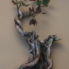 Clare Pavey Ceramics - Gallery Image